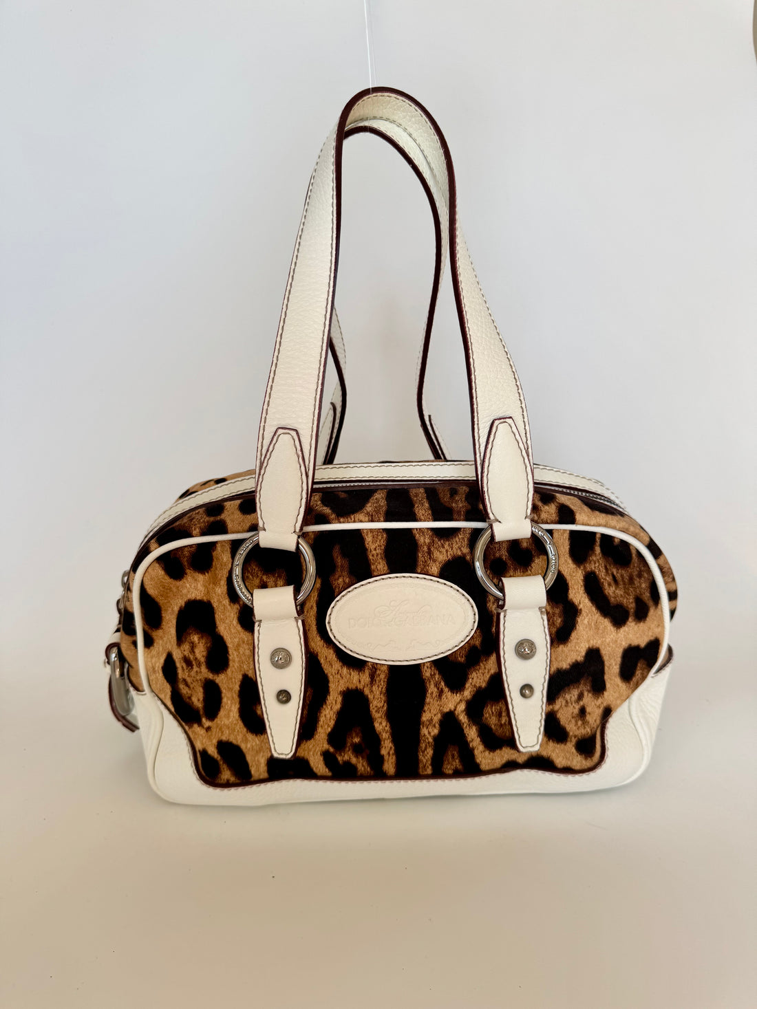 Dolce & Gabbana Leopard Canvas Bag