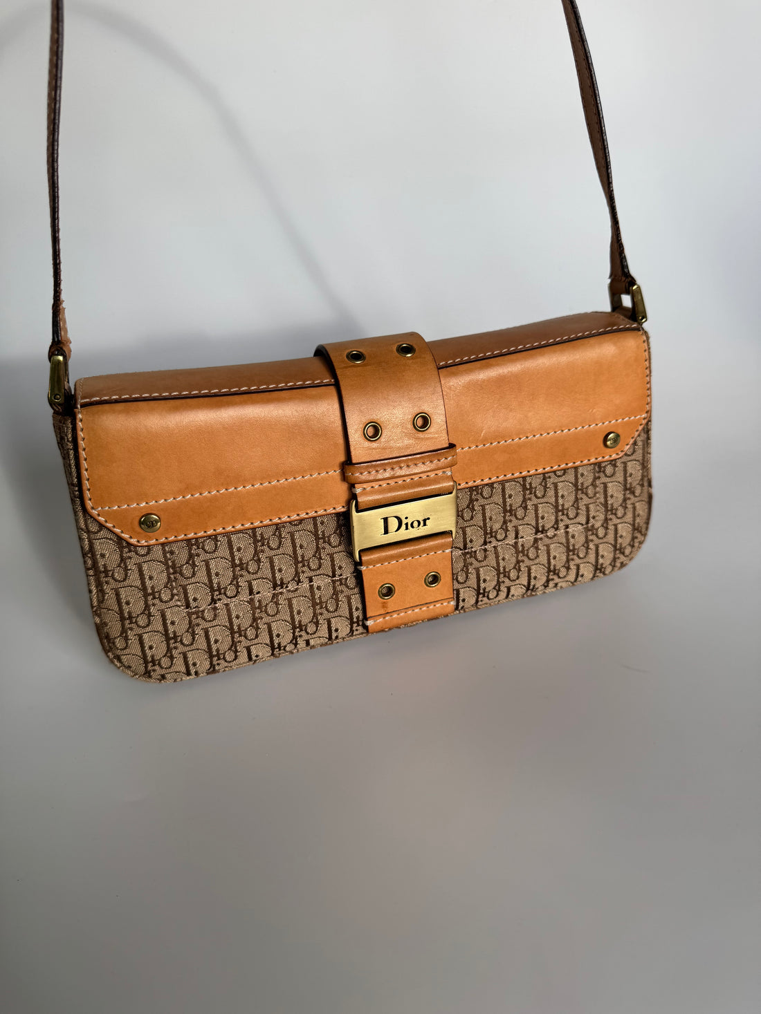 Christian Dior Columbus Trotter Bag