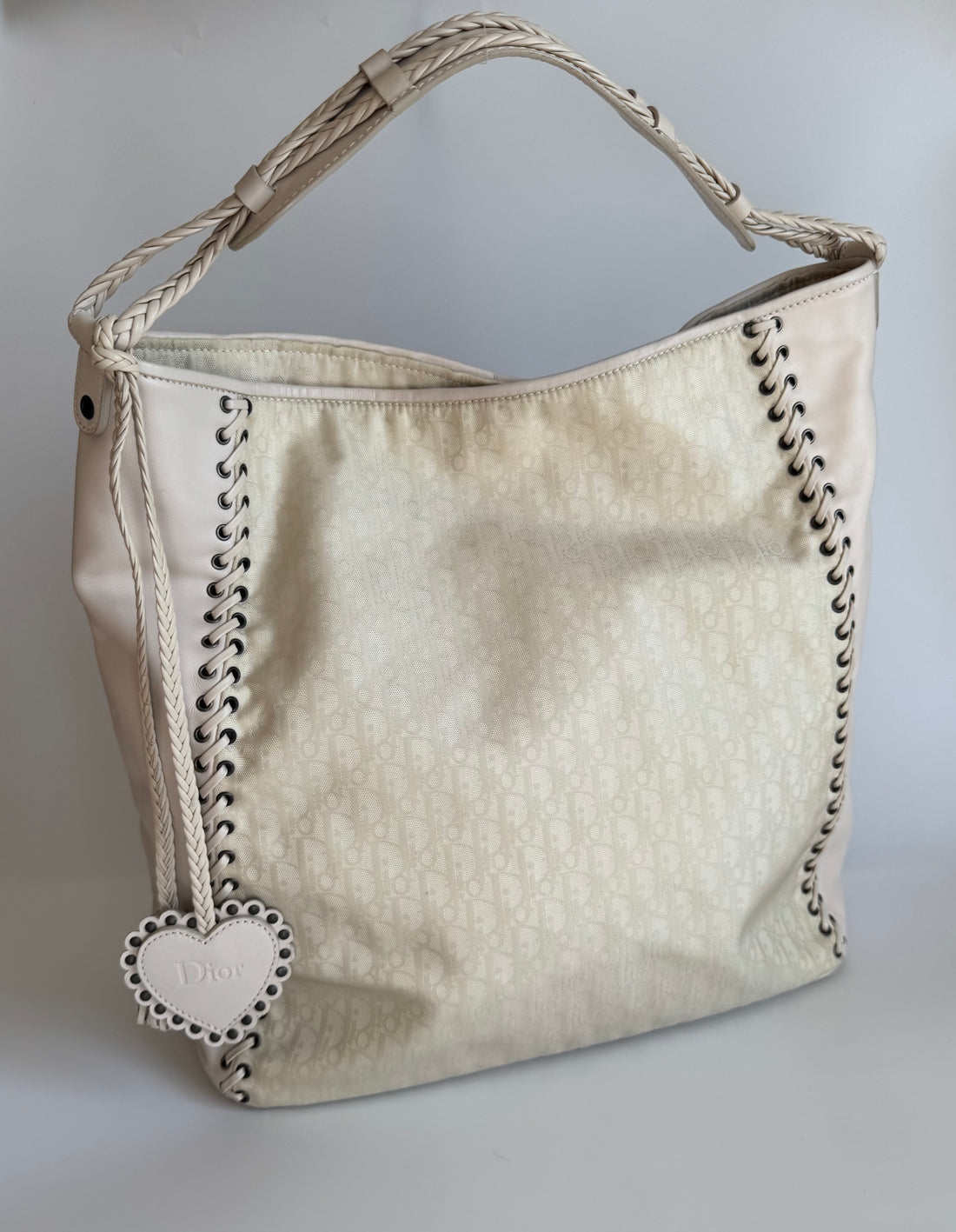 Christian Dior Avenue Trotter Hobo Bag